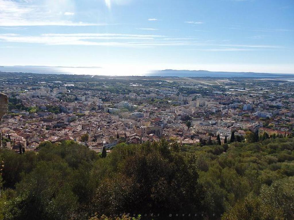 183 HYERES ET SES PALMIERS D03_000041.jpg